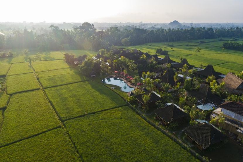 ARYA VILLAS UBUD (ex. ADIWANA ARYA VILLAS) - 4