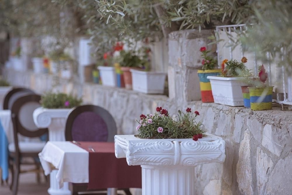 Картинка отеля - 43