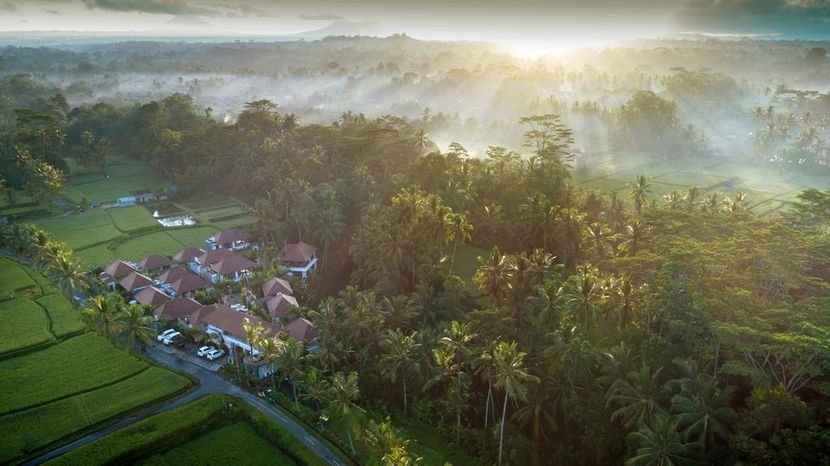 DEDARY RESORT & SPA UBUD - 1