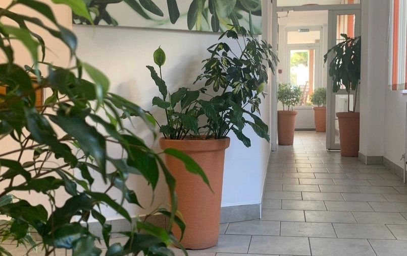 ГАРМОНИЯ, гостевой дом - 6