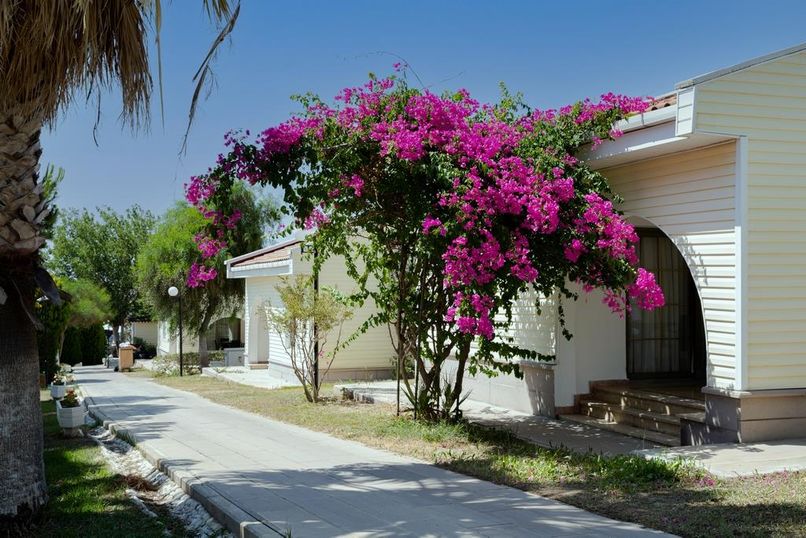 Anadolu Hotels Didim Club (ex. Palm Wings Didim Beach Resort) - 5