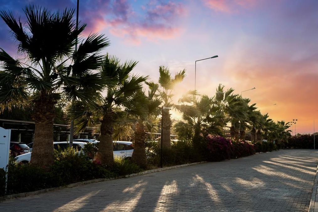 Картинка отеля - 10