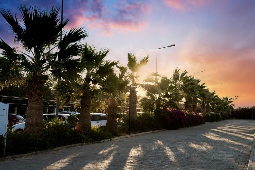 Anadolu Hotels Didim Club (ex. Palm Wings Didim Beach Resort) - 10