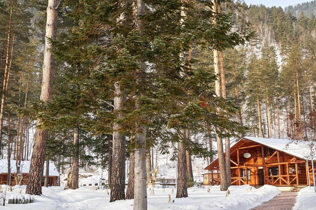 Картинка отеля - 4