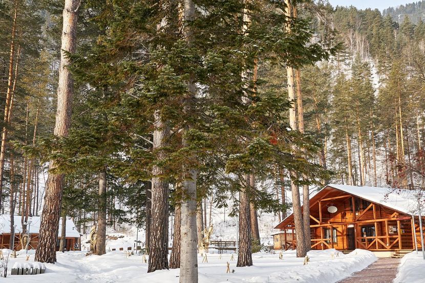 ПОДГОРИЦА, парк-отель - 4