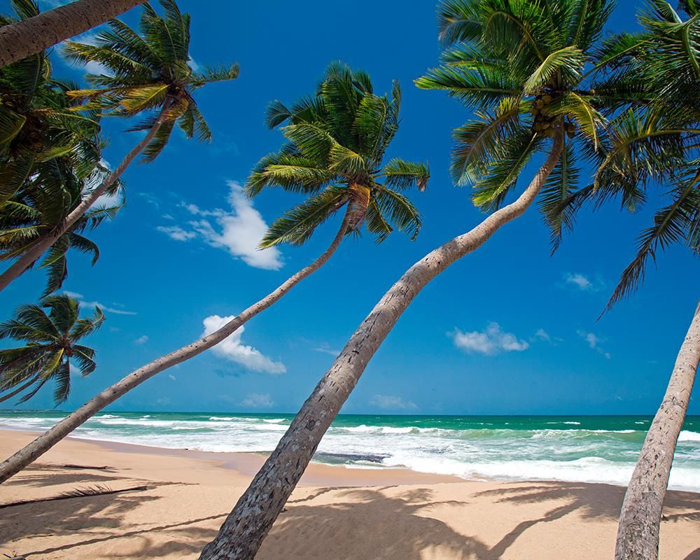 Картинка отеля - 35