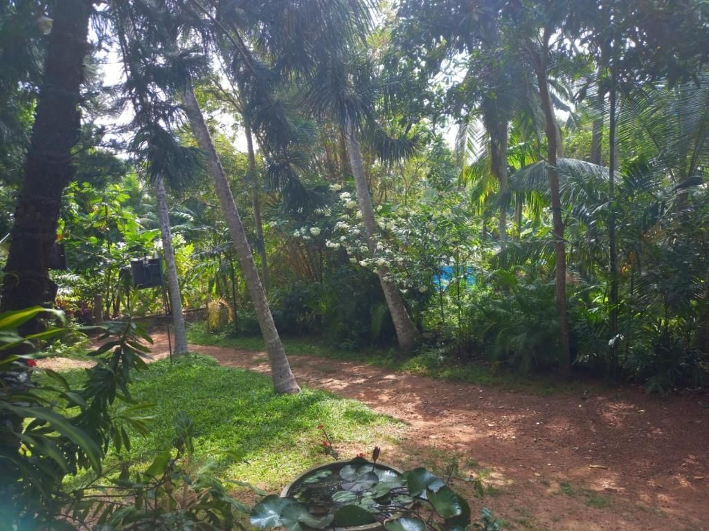 NAVORA HOTE STAY, HIKKADUWA - 30