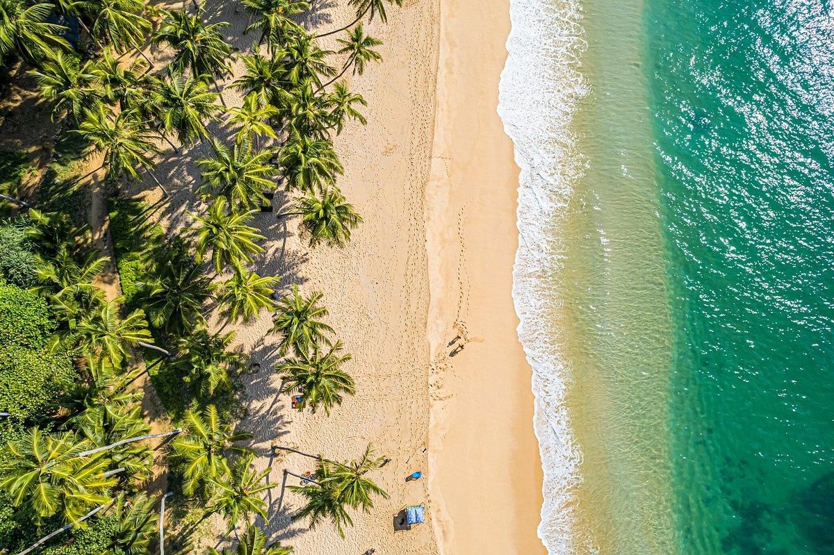 MAYAVEE RESORT & SPA - 50