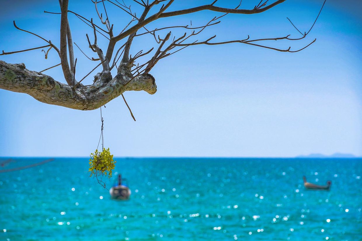 ANYAVEE KRABI BEACH RESORT - 14