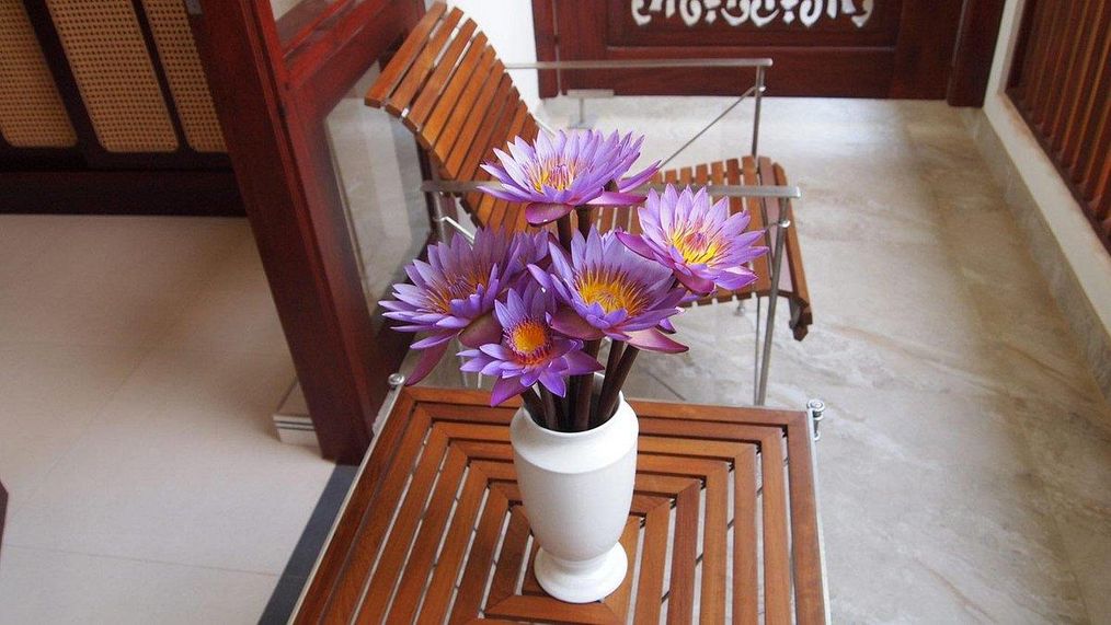 Картинка отеля - 9