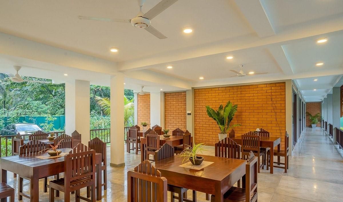 ANURAS ELEPHANT - 20