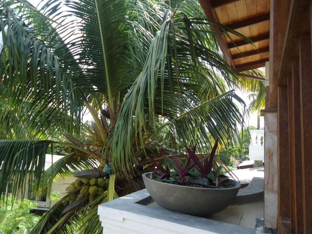 Картинка отеля - 33