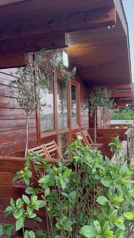 BALE, коттеджи - 5