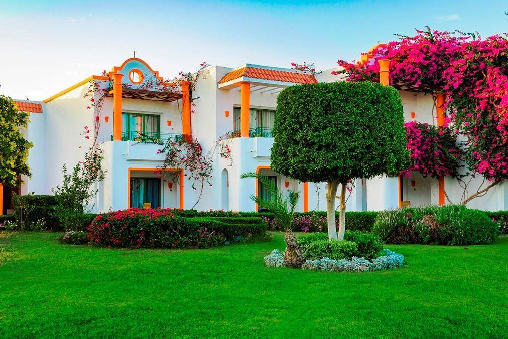 Картинка отеля - 13