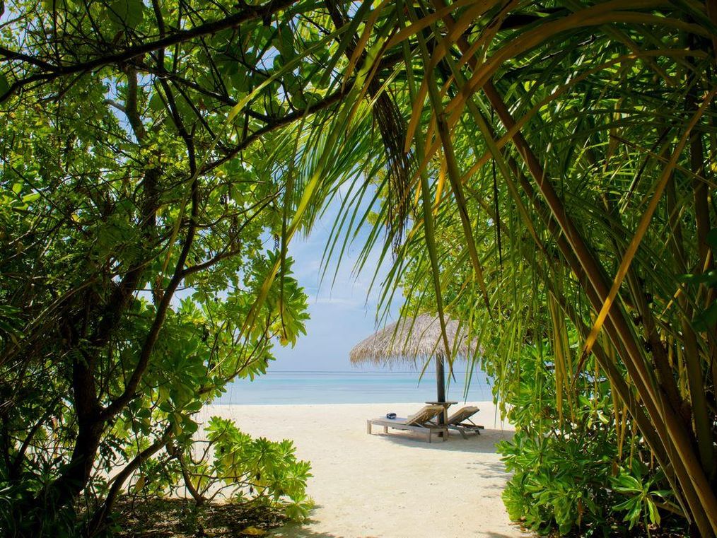 Картинка отеля - 34