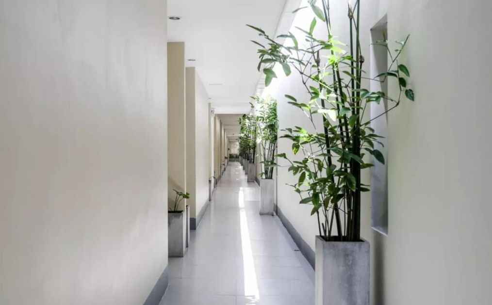 Картинка отеля - 11