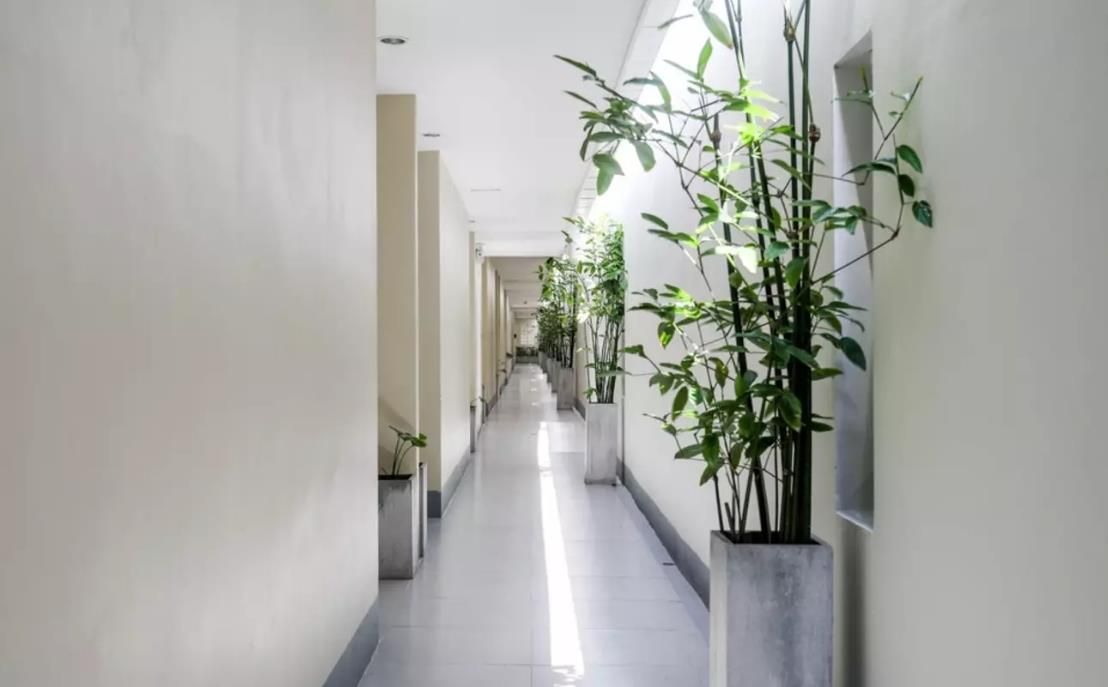 TUANA HOTELS BROOK RESORT & VILLAS (ex. TUANA HOTEL BROOK POOL ACCESS) - 11