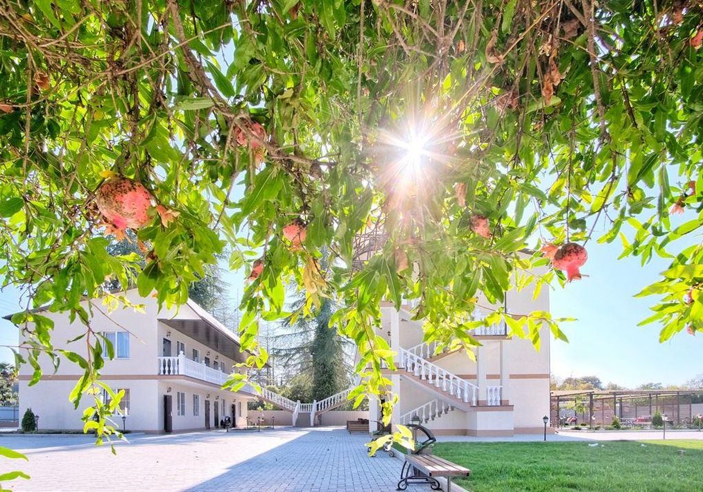 Картинка отеля - 15