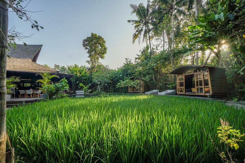 SURYA KEMBAR LUXURY VILLAS UBUD - 1