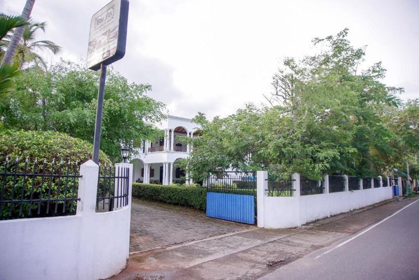 BLUE FOX HIKKADUWA - 4