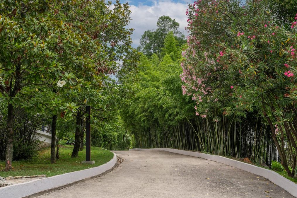 Картинка отеля - 25