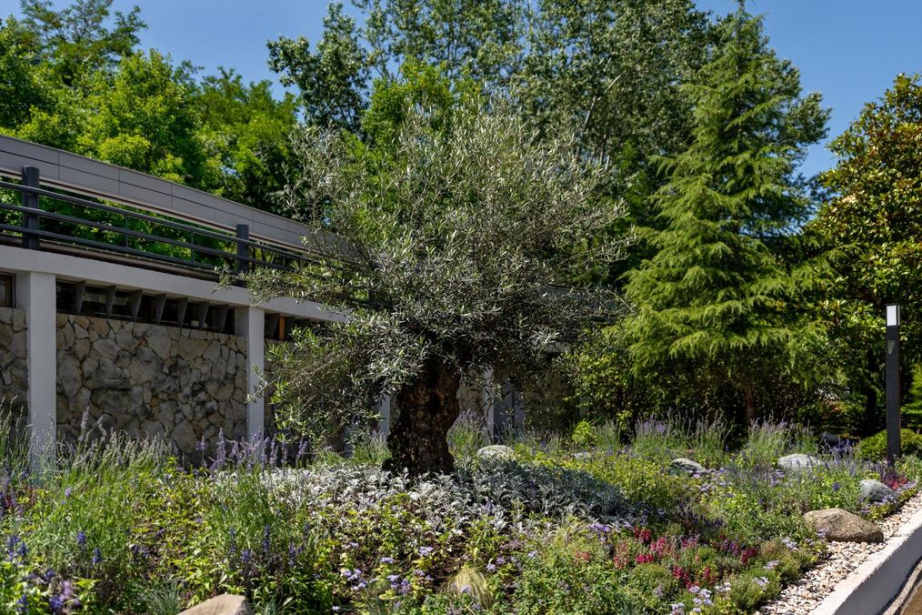 Картинка отеля - 28