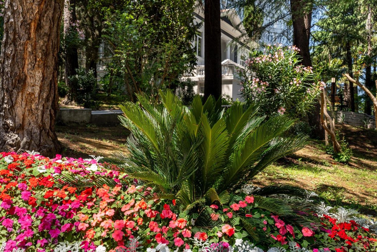 СОКОЛ, пансионат - 29