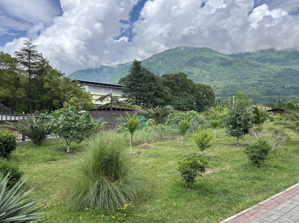 Картинка отеля - 4