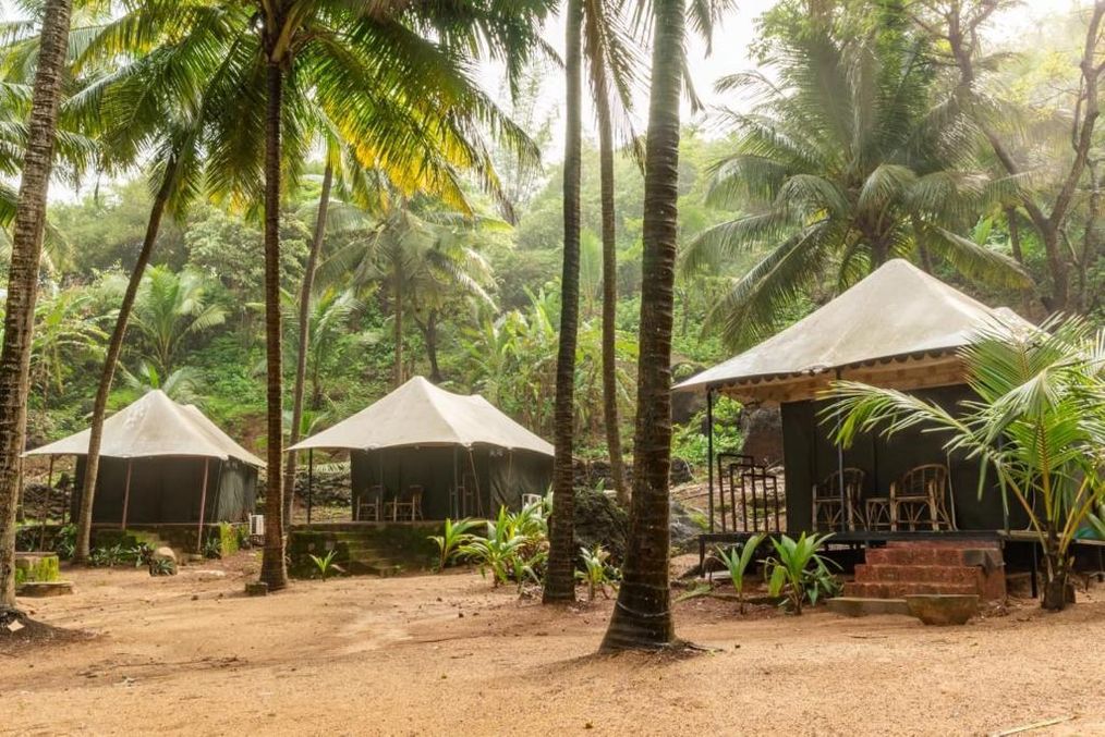 Картинка отеля - 15