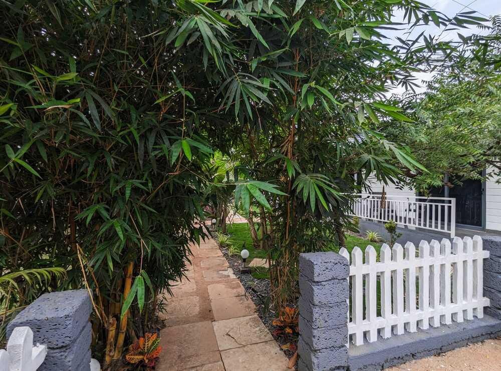 WHITE TREE RESORT - 4