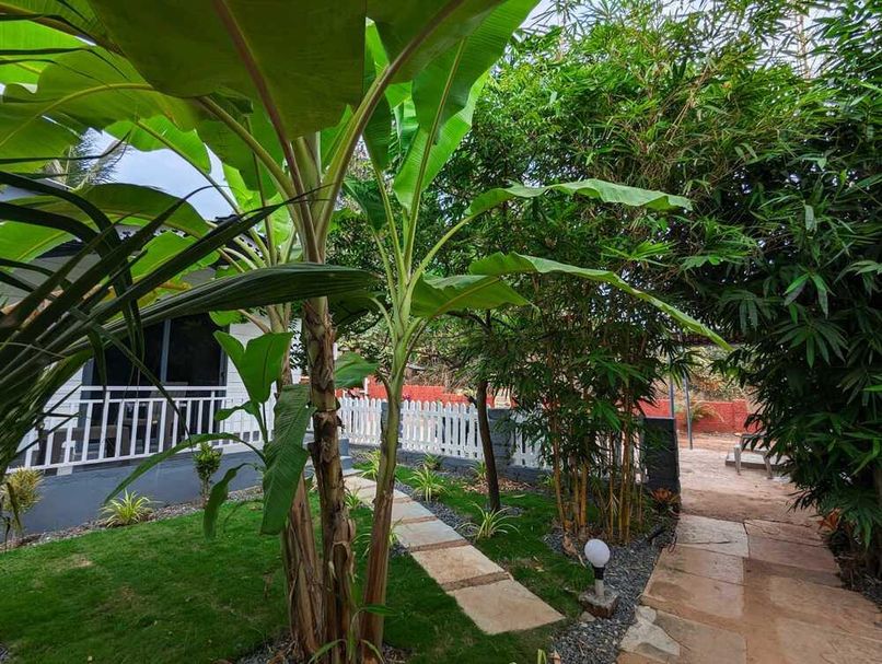 WHITE TREE RESORT - 5