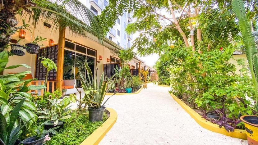 MANTA DHANGETHI GUEST HOUSE - 4