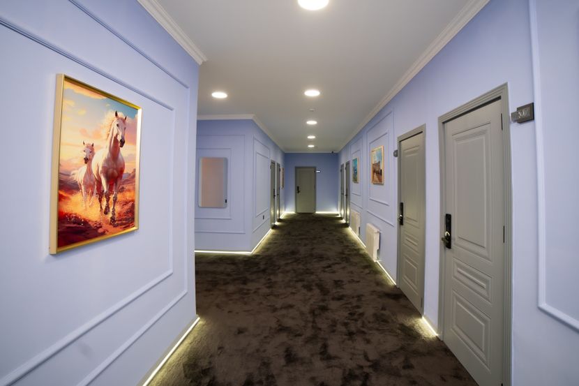 WILL HOTEL - 4
