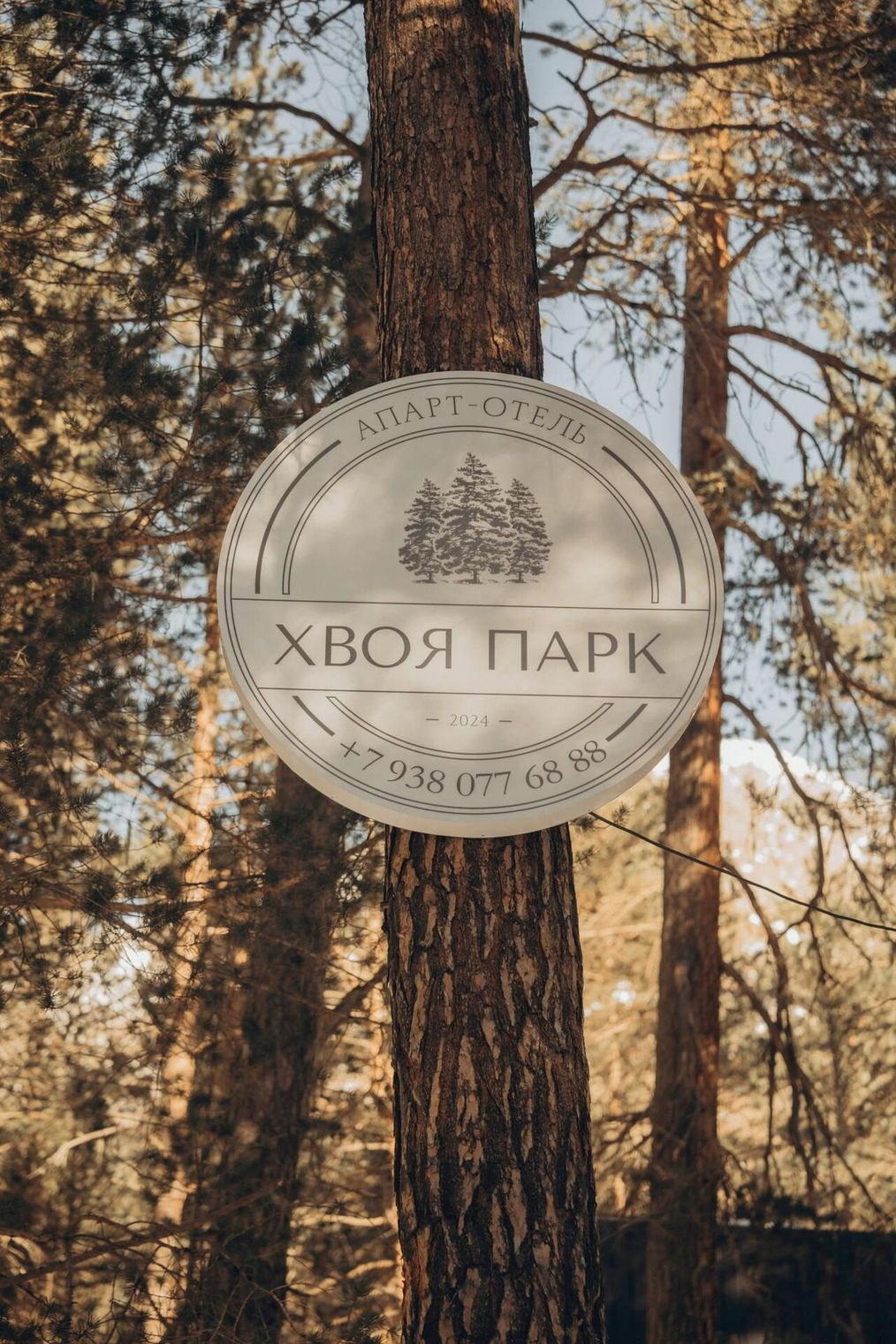 Картинка отеля - 17