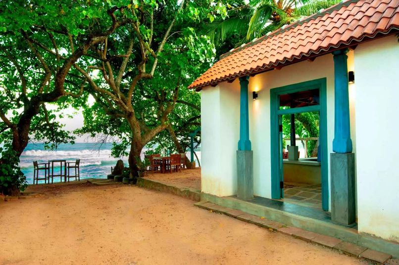 OCEAN GATEWAY DICKWELLA - 2