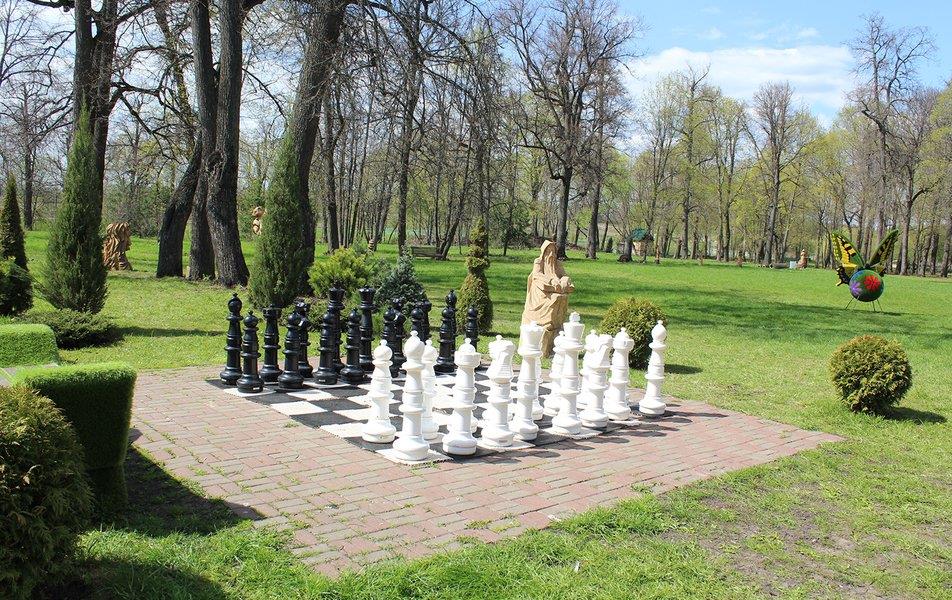 Картинка отеля - 22