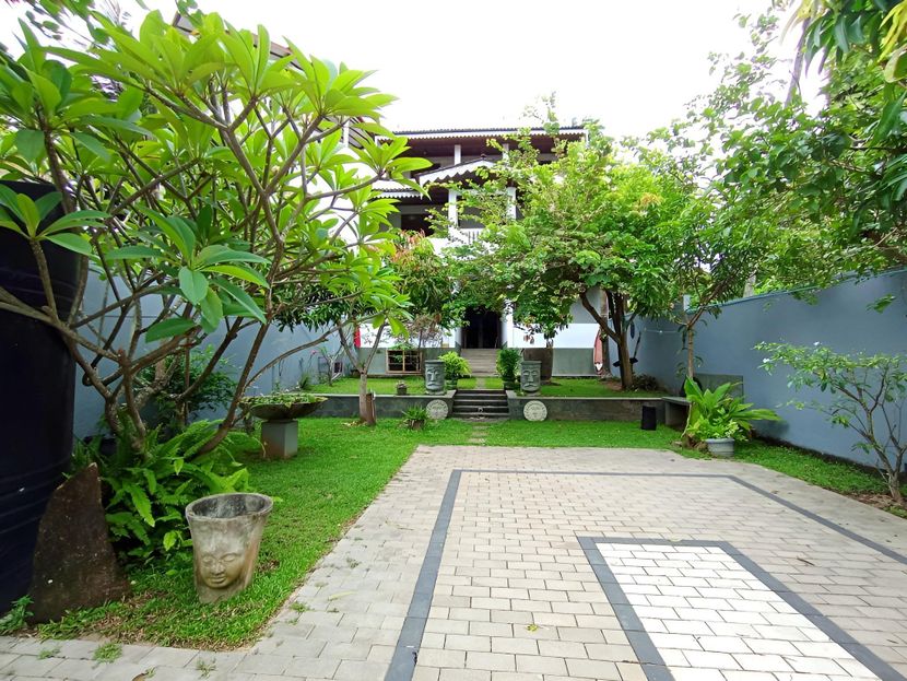 THE LAVENDER HOUSE - 1