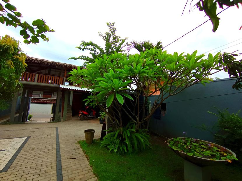 THE LAVENDER HOUSE - 2