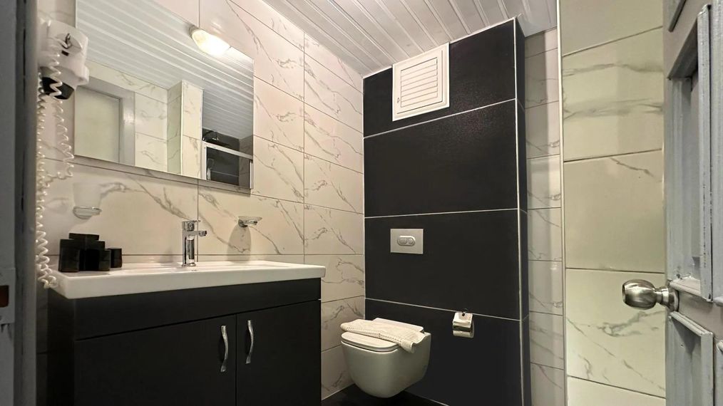 Картинка отеля - 11