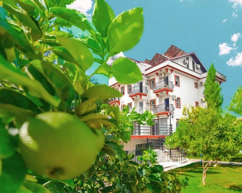 Casa De Levissi Hotel - 4