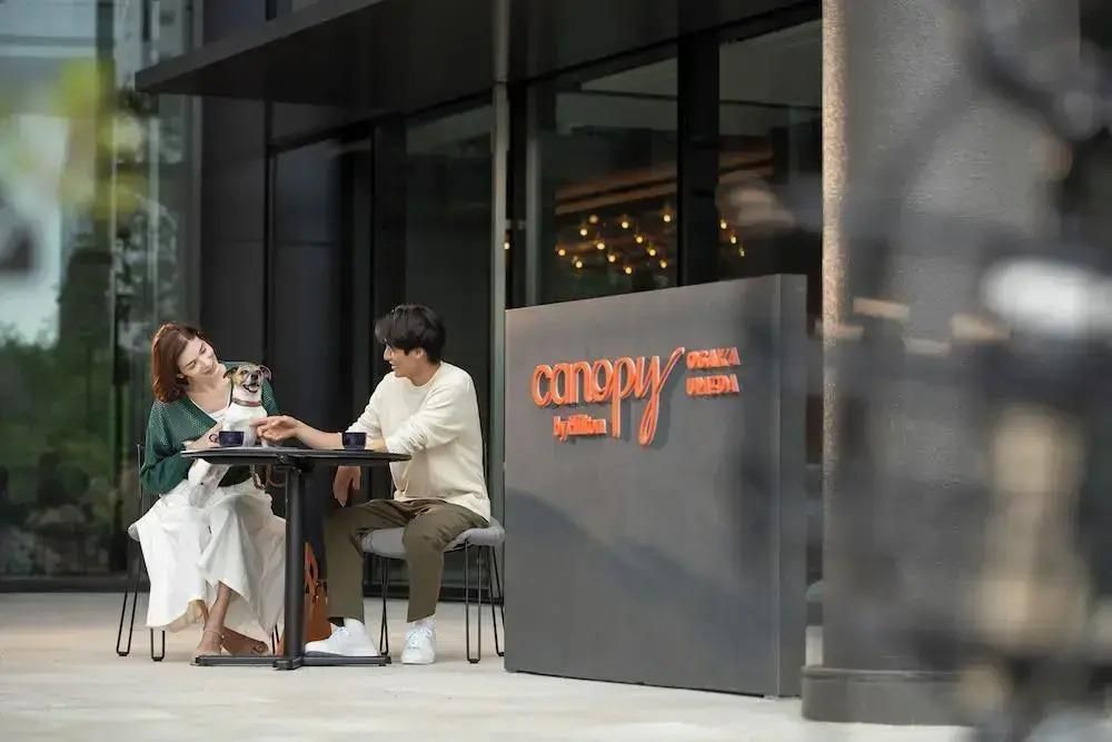 Картинка отеля - 26