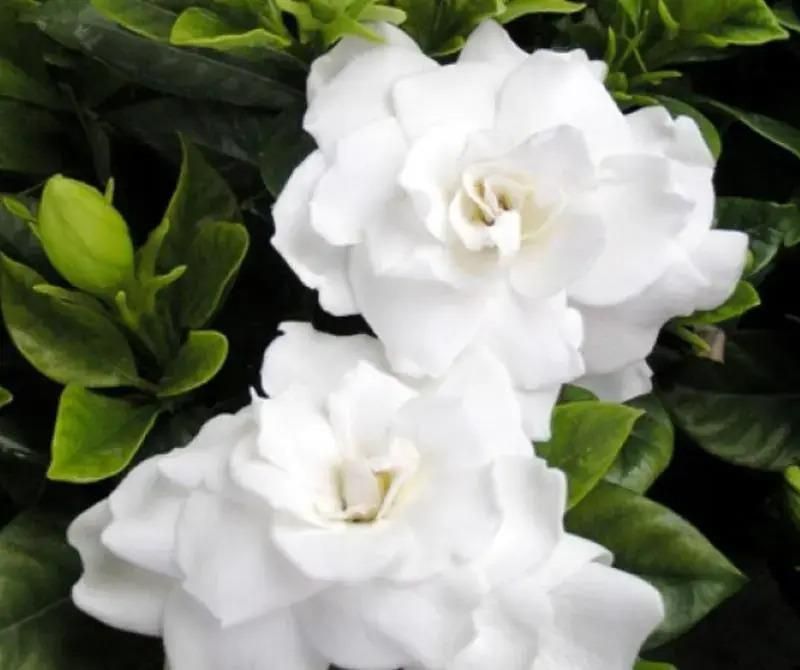 PANORAMIC SPA HOTEL - 1