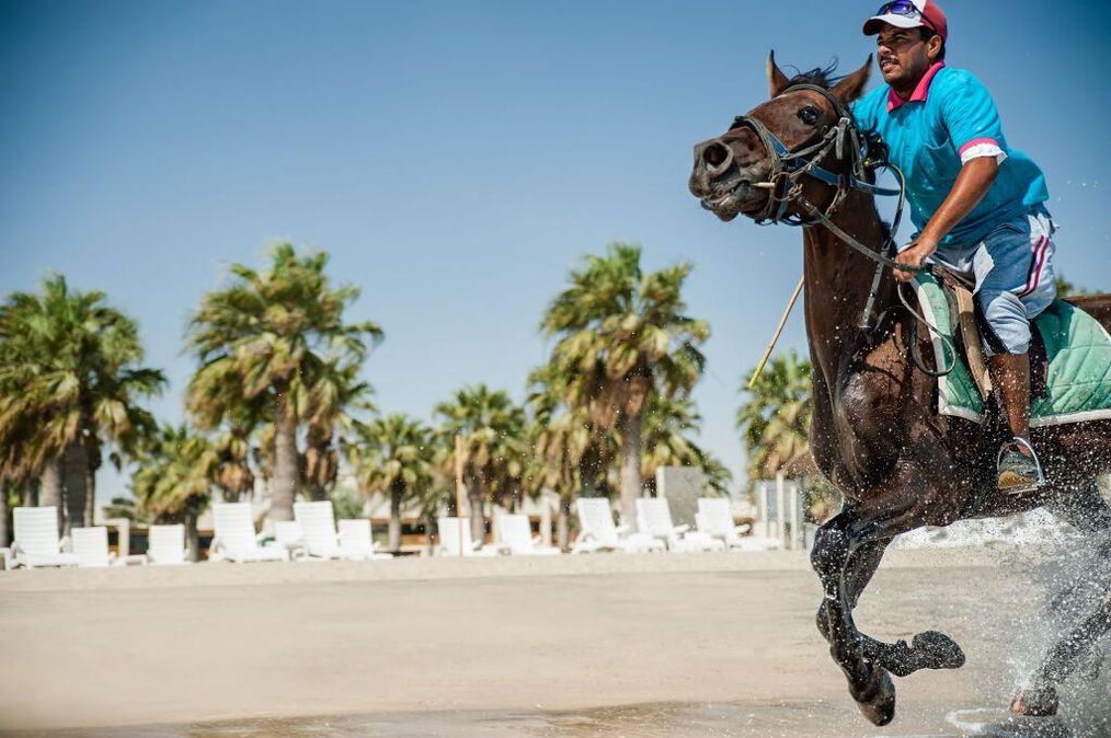 Картинка отеля - 35