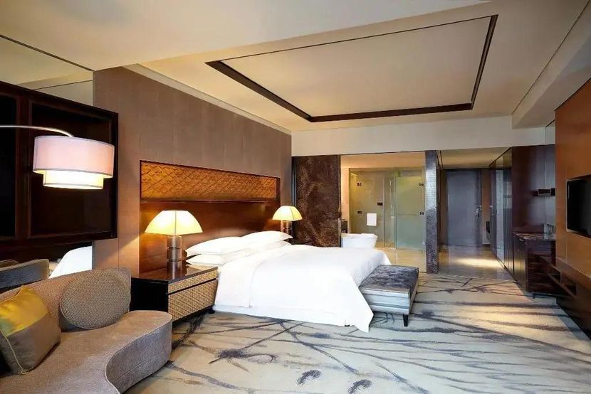 SHERATON XIAN NORTH CITY HOTEL (西安赛瑞喜来登大酒店（龙首原地铁站店）) - 6