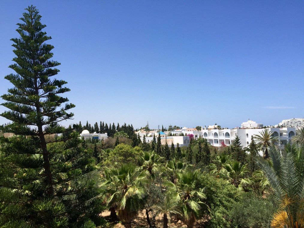 Картинка отеля - 9