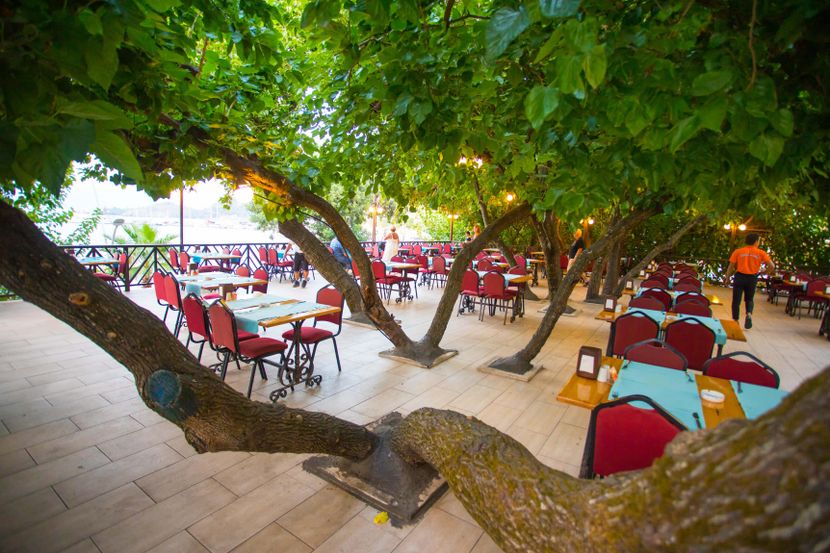 Golmar Beach Hotel - 4