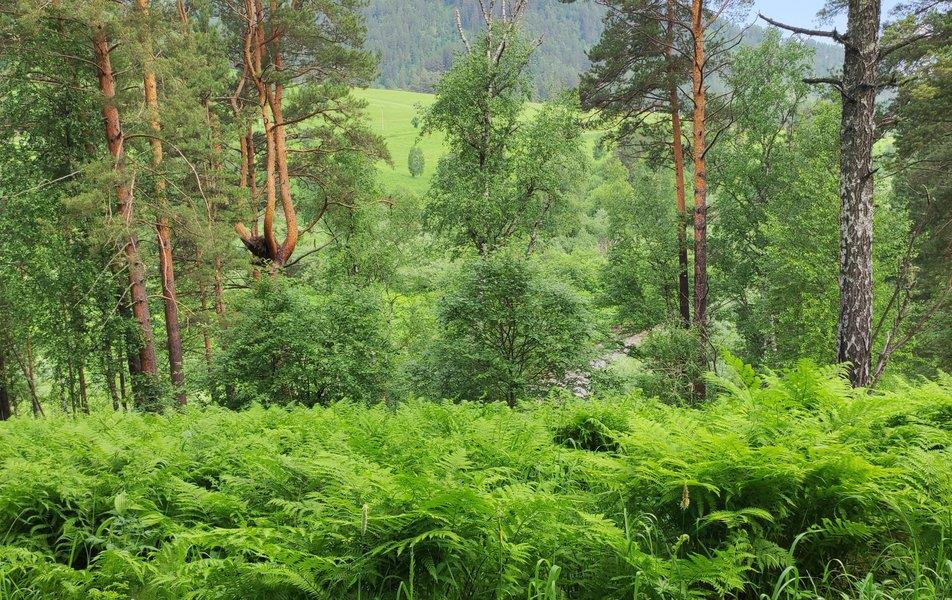 Картинка отеля - 10