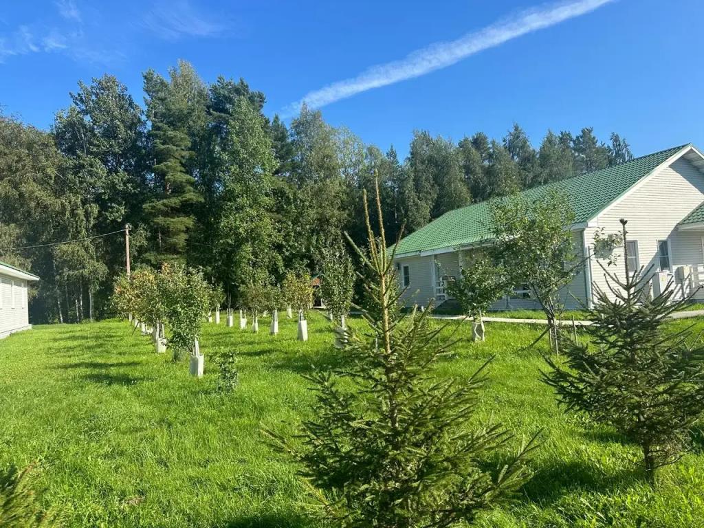 Картинка отеля - 28