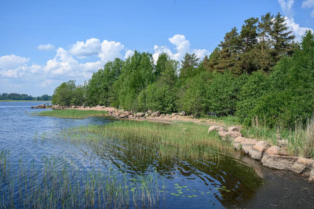 Картинка отеля - 49
