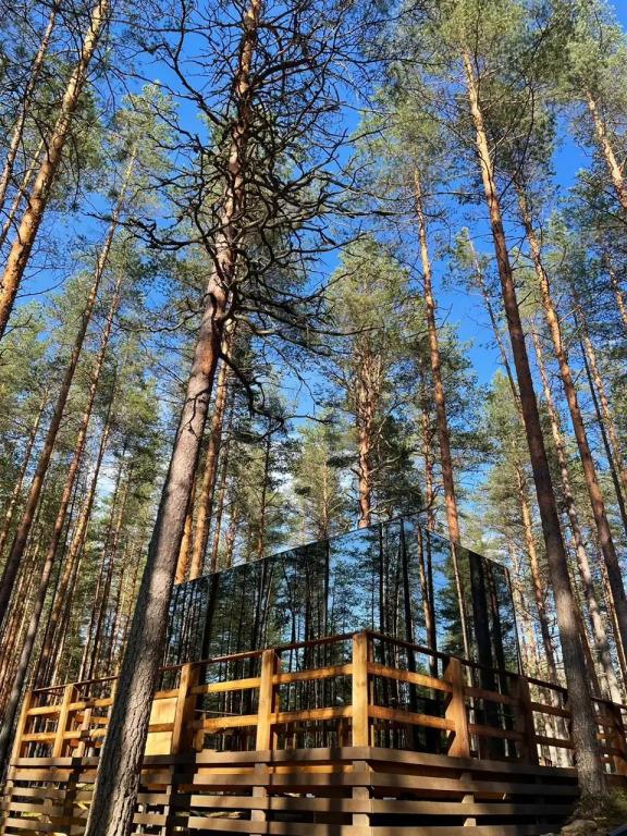 Картинка отеля - 6